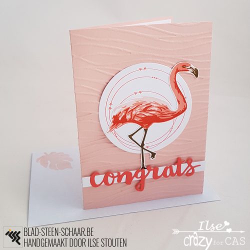 Stouten | HA Layering Flamingo | blad-steen-schaar.be