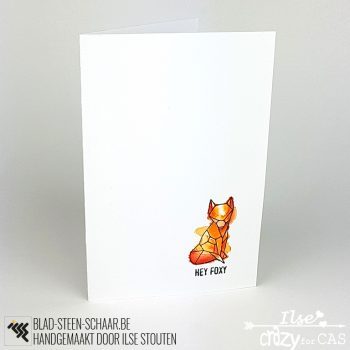 Stouten | Cool Foxy | blad-steen-schaar.be